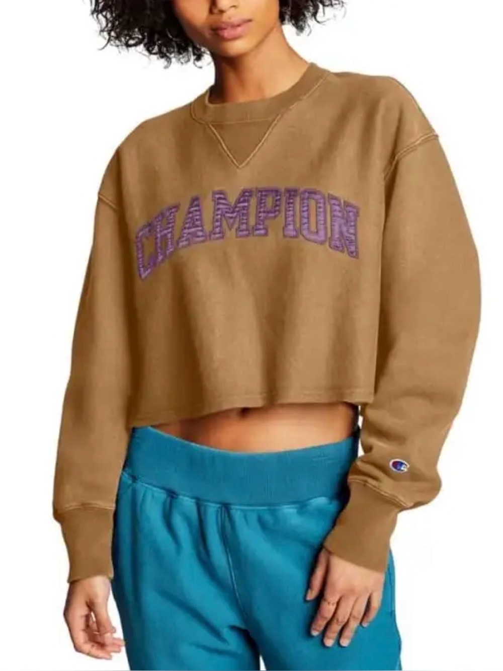 CHAMPION sweatshirt Reverse Weave